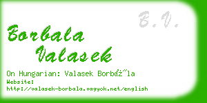 borbala valasek business card